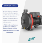 Bomba Centrifuga Leo Eleva Agua 48m 8400 Lts/h 2hp 220v - Imagen 6