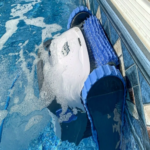 Robot Dolphin S200 - Barrefondo Automatico - Imagen 2