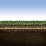 Tuberia de Goteo XFS - Imagen 3